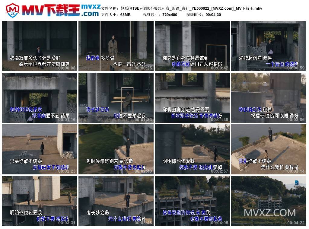 赵磊(R1SE)-你就不要想起我_国语_流行_YE500822